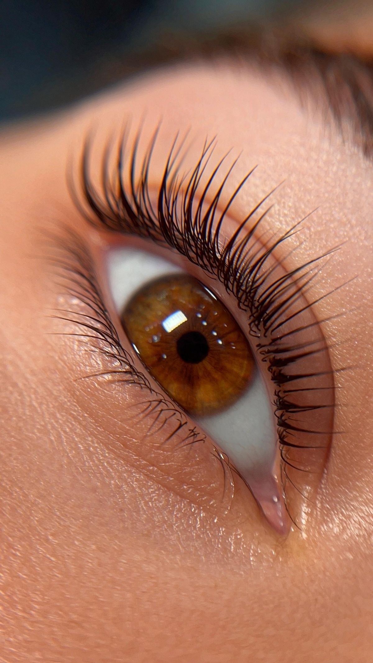 Réhaussement de Cils